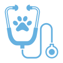 medicina interna eivivet